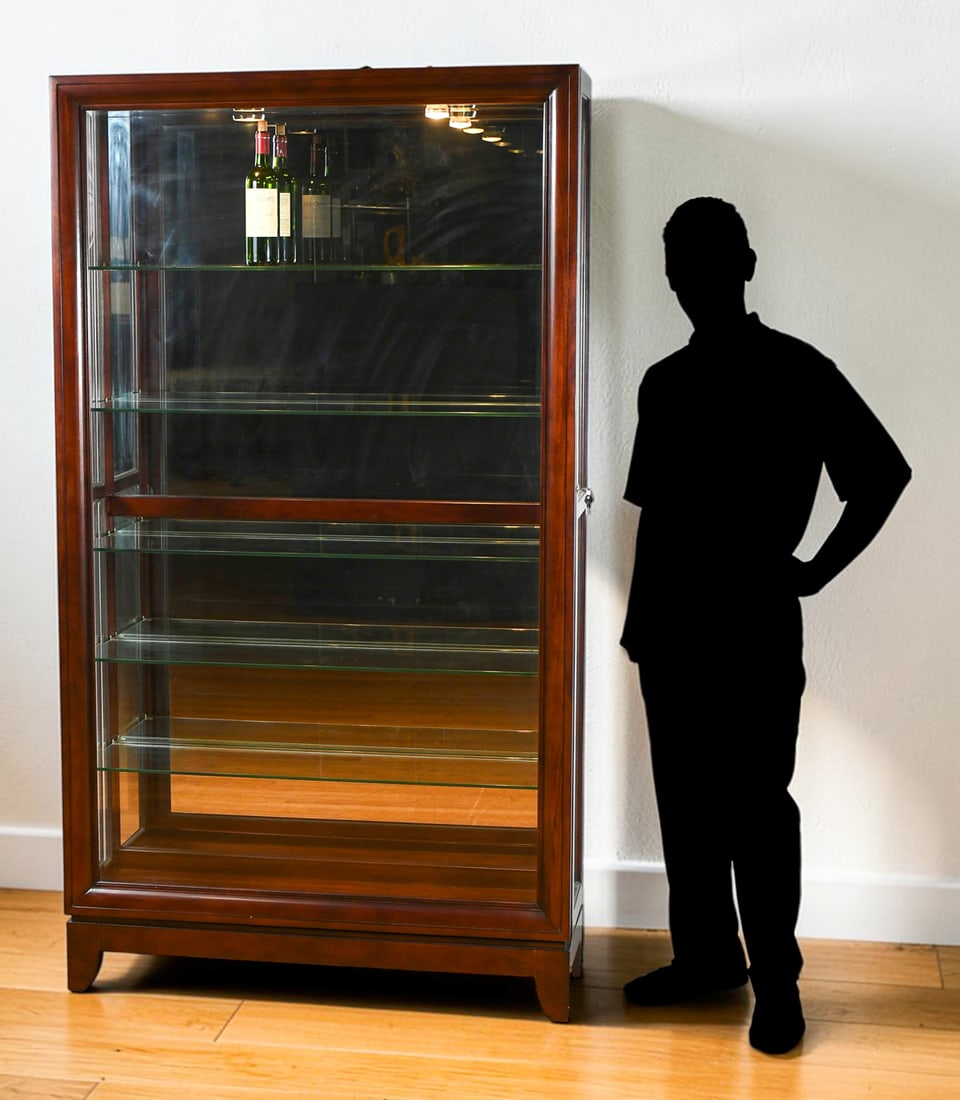 CONTEMPORARY LIGHTED CURIO/DISPLAY CABINET (1 of 5)