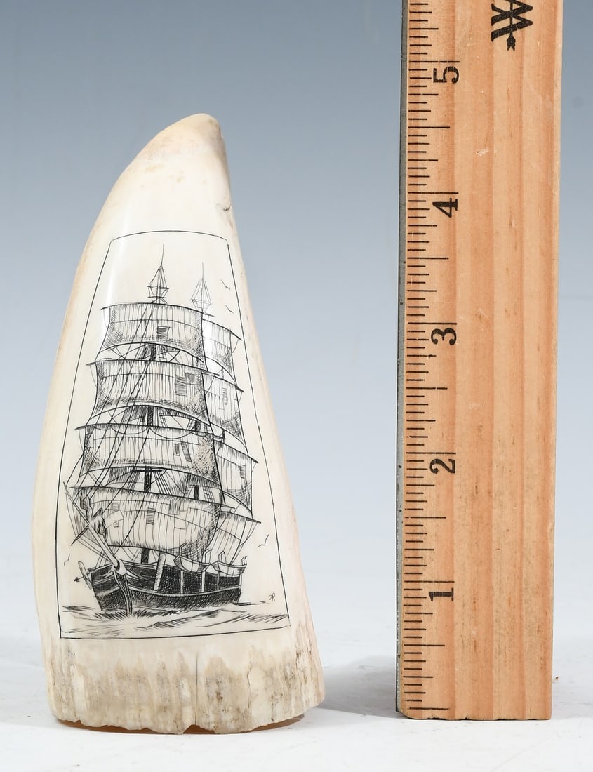 SPERM WHALE SCRIMSHAW TOOTH (1 of 6)
