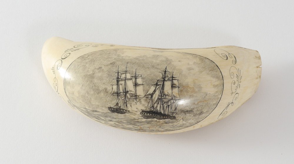 MADRUGA GOMES SCRIMSHAW WHALE TOOTH: MADRUGA GOMES SCRIMSHAW WHALE TOOTH: Finely detailed scene of 2 clipper ships at battle, signed Madruga F. Gomes. Gomes was known throughout the Azores for detail portraits and other scrimshaw work. T