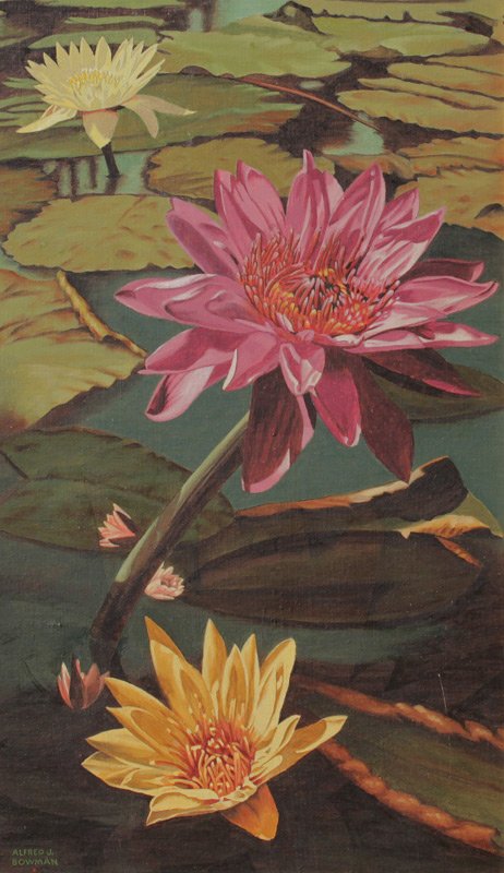 ALFRED J BOWMAN WATER LILIES PAINTING: BOWMAN, Alfred John, (American, 1881-1842): Water Lilies, Oil/Canvas on board, 23'' x 13 3/4'', signed lower left, painted gold wood frame with wear 25 3/4'' x 16 1/4''.