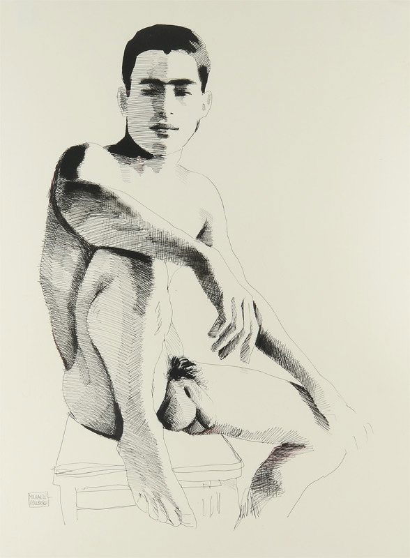 MICHAELE VOLLBRACHT MALE NUDE PEN & INK DRAWING: VOLLBRACHT, Michaele, (American, 1947- ): Young Male Nude, Pen & Ink Drawing, 29 1/2" x 22", signed lower left, framed 35" x 27".