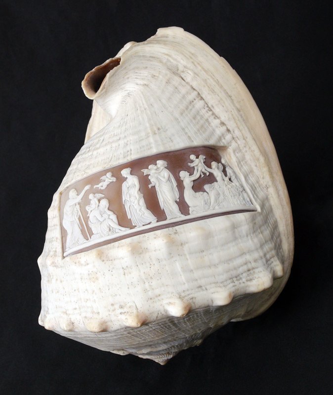 CARVED CAMEO CONCH SHELL: CARVED CAMEO CONCH SHELL: Neo-Classical motif cameo carved panel, overall measures 5 1/2" h. x 7 1/2" x 6".