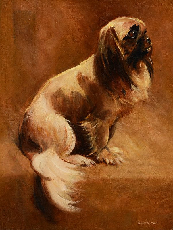 SAMUEL FULTON PEKINESE PAINTING: FULTON, Samuel (Scottish, 1855-1941): Pekinese Dog, Oil/Canvas, 18'' x 14'', signed lower right, pierce carved and gilded frame 26'' x 22''.