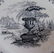 1373A: 9 STAFFORDSHIRE BLACK TRANSFER BOWLS - 9