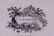 1373B: 8 STAFFORDSHIRE BLACK TRANSFER PLATES - 10