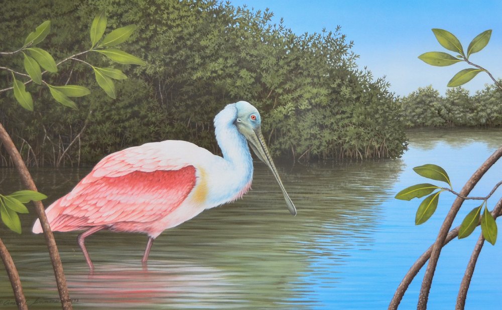 ERNEST C. SIMMONS ROSEATE SPOONBILL PAINTING: SIMMONS, Ernest C., (American, 20th Century): Roseate Spoonbill in Shallow Water with Mangroves, Gouache, sight size 18 1/4" x 29", signed lower left and dated 1993, custom frame, 27 1/2" x 38 1/2".