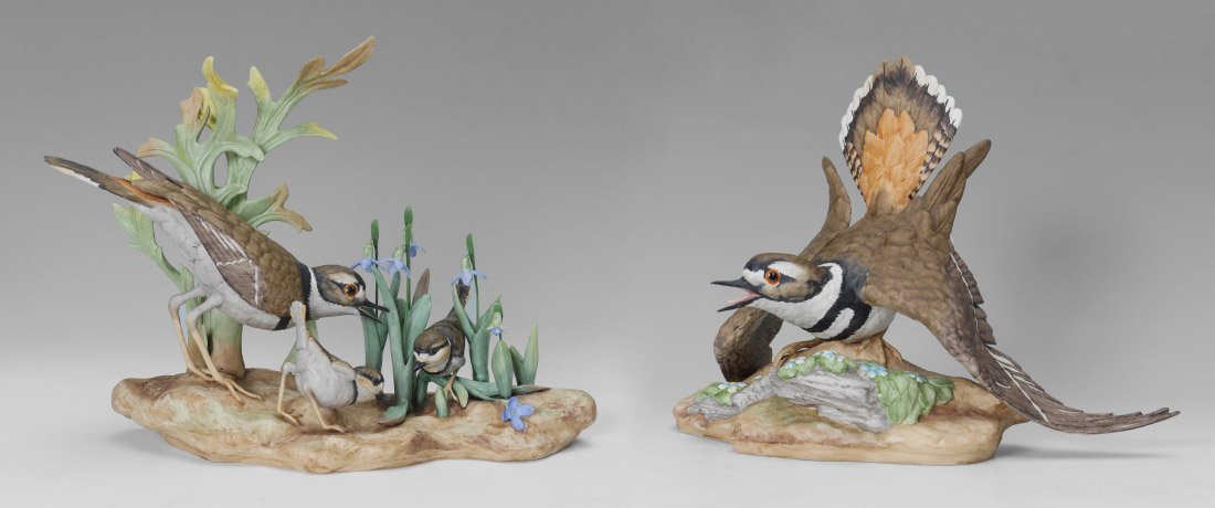 PAIR BOEHM PORCELAIN KILDEER BIRDS 473 (1 of 6)