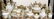 40 PIECE ROSENTHAL POMPADOUR FINE CHINA DESSERT SET