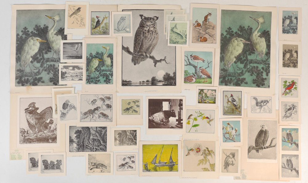 40 PIECE BENSON BOND MOORE LITHOGRAPH LOT: 40 PIECE BENSON BOND MOORE LITHOGRAPH LOT: 40 Piece Lot to Include: Various Hand-colored Lithographs, Offset Lithographs and 1 Limited Edition Bald Eagle Etching, prints are various sizes, all unframe