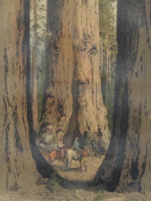 LUIGI KASIMIR GIANT REDWOODS ETCHING/ AQUATINT: KASIMIR, Luigi, (Austria/Slovenia, 1881-1962): "Giant Redwoods", 3 Figures in a Redwood Forest, Etching / Aquatint, 13.75" x 10.25", 18.5" x 14.25 with full margins, pencil signed lower margin, framed