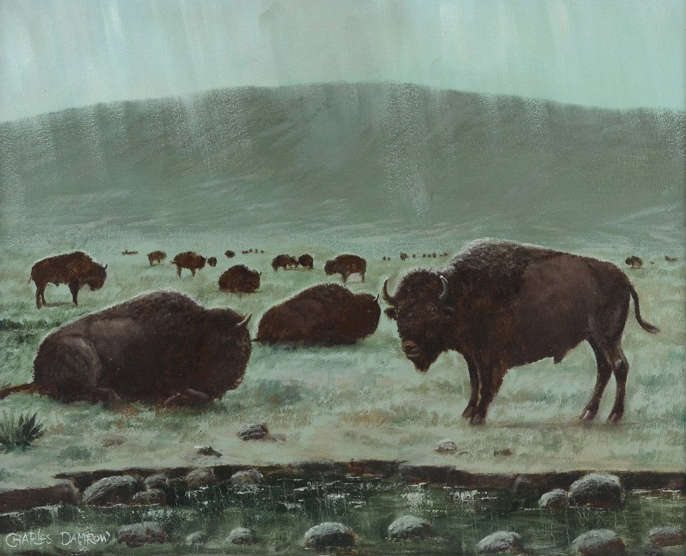 CHARLES DAMROW PAINTING HERD OF BUFFALO: DAMROW, Charles, (American, 1916-1989): Pastoral Scene with Buffalo Herd, Oil/Masonite, 16'' x 20'', signed lower left, framed, 20'' x 23.5''.