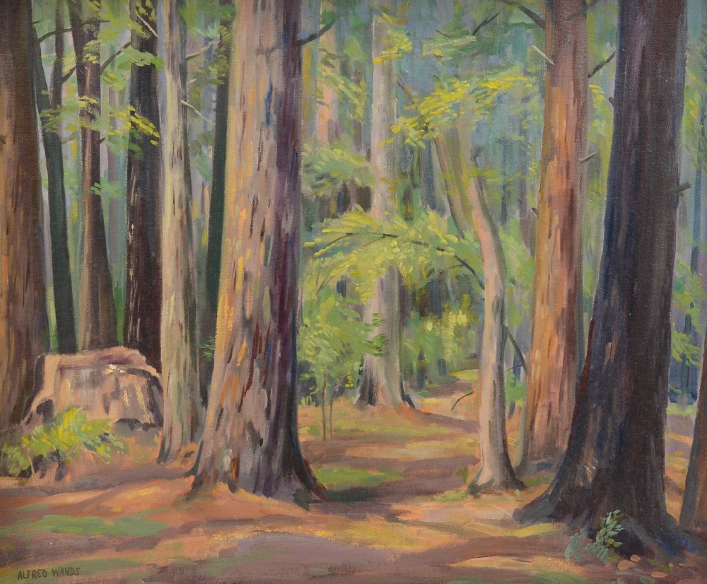 ALFRED WANDS REDWOOD FOREST: WANDS, Alfred, (American, 1904-1998): "Redwood Forest", Oil on Canvas, 19.5" x 23", signed lower left, framed, 21" x 25.25". Alfred Wands graduated from the Cleveland Art Institute with honors, then s