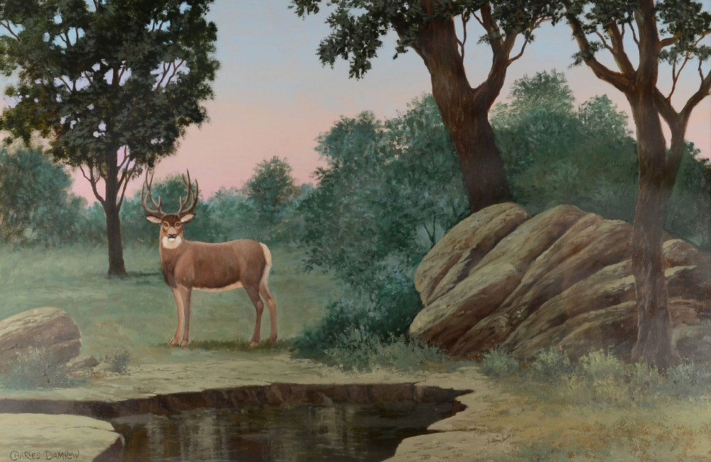 CHARLES DAMROW PAINTING DEER BY STREAM: DAMROW, Charles, (American, 1916-1989): "Deer by Stream", Oil on Board, 23.5" x 35.5", signed lower left, framed, 31.5" x 42.5".