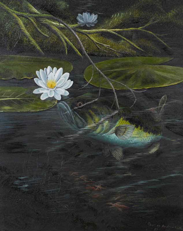 1987 CHARLES WALKER HIGHWAYMEN BASS PAINTING: WALKER, Charles, (American, 20th Century): Largemouth Bass in Water Lilies, Oil/Canvas,24'' x 30'', signed Charles Andrew Walker and dated 1987 lower right, framed 35'' x 29''. One of the officially r