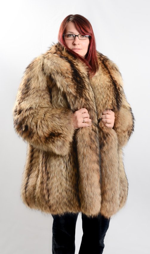 JAPANESE TANUKI FUR JACKET: JAPANESE TANUKI FUR JACKET: Really lovely and snuggly Tanuki fur jacket, maintained in cold storage. 24" from shoulder to cuff, 17" shoulder to shoulder and 32" shoulder to hem. Overall condition is v
