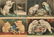 1437: 4 CURRIER & IVES VINTAGE CAT LITHOGRAPHS