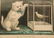 1437: 4 CURRIER & IVES VINTAGE CAT LITHOGRAPHS - 4