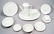 1050: ROSENTHAL FINE CHINA IN THE LINEAR PATTERN