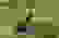 item-48960776=4