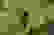 item-48960776=5