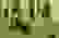 item-48960776=6