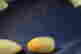 item-118791285=2
