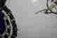 item-122072702=4