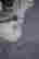 item-130928020=5