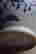 item-130928038=4
