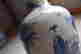 item-130928050=11