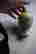 item-130928055=2