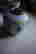 item-130928075=7