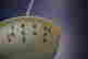 item-130928122=4