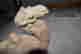 item-130928149=5