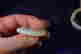 item-130928158=4