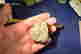 item-130928182=2