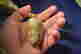 item-130928182=4