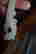 item-130928207=3