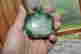 item-130928216=3