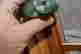 item-130928216=5