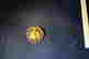 item-130928299=1