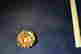 item-130928299=2
