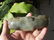 large antique jade carved duck - 3