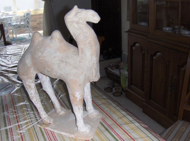 tang dynasty camel figure: a figure of camel, possible tang dynasty, with an British antique shop certificate.14.5 inches tall, 12 inches long