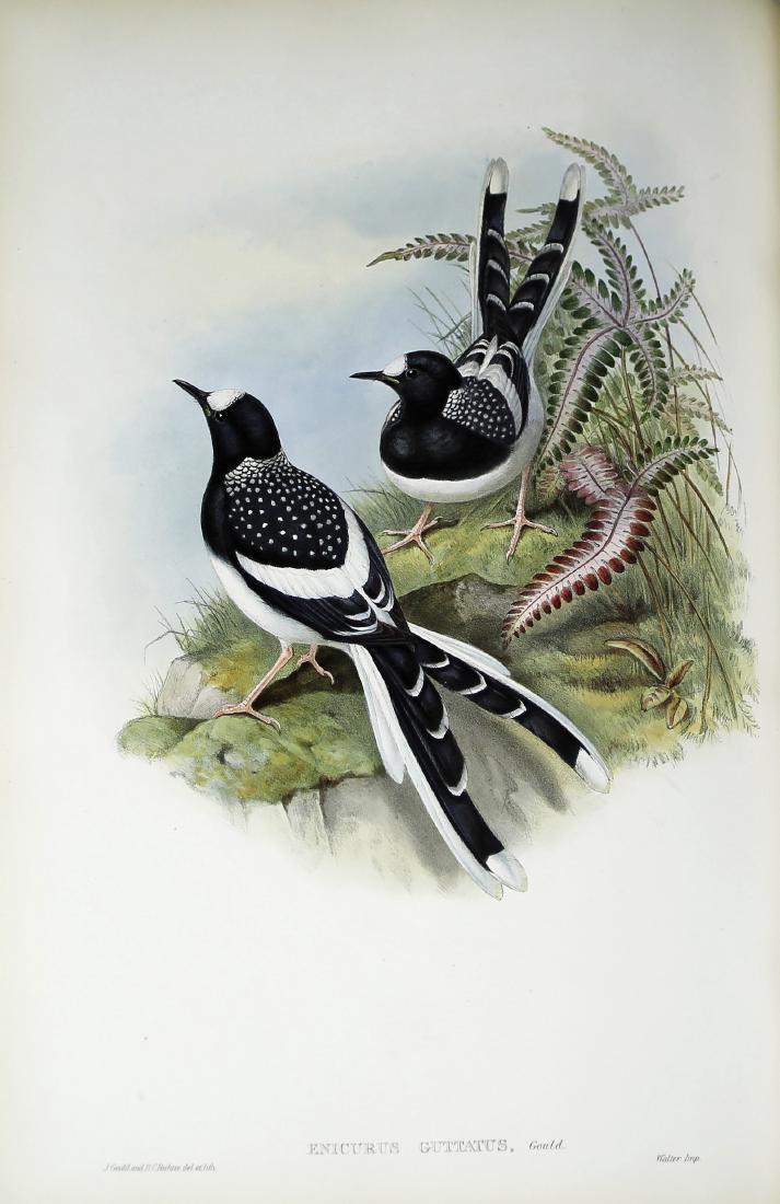 Birds of Asia, Gould, First Edition, Rare Book (1 of 4)