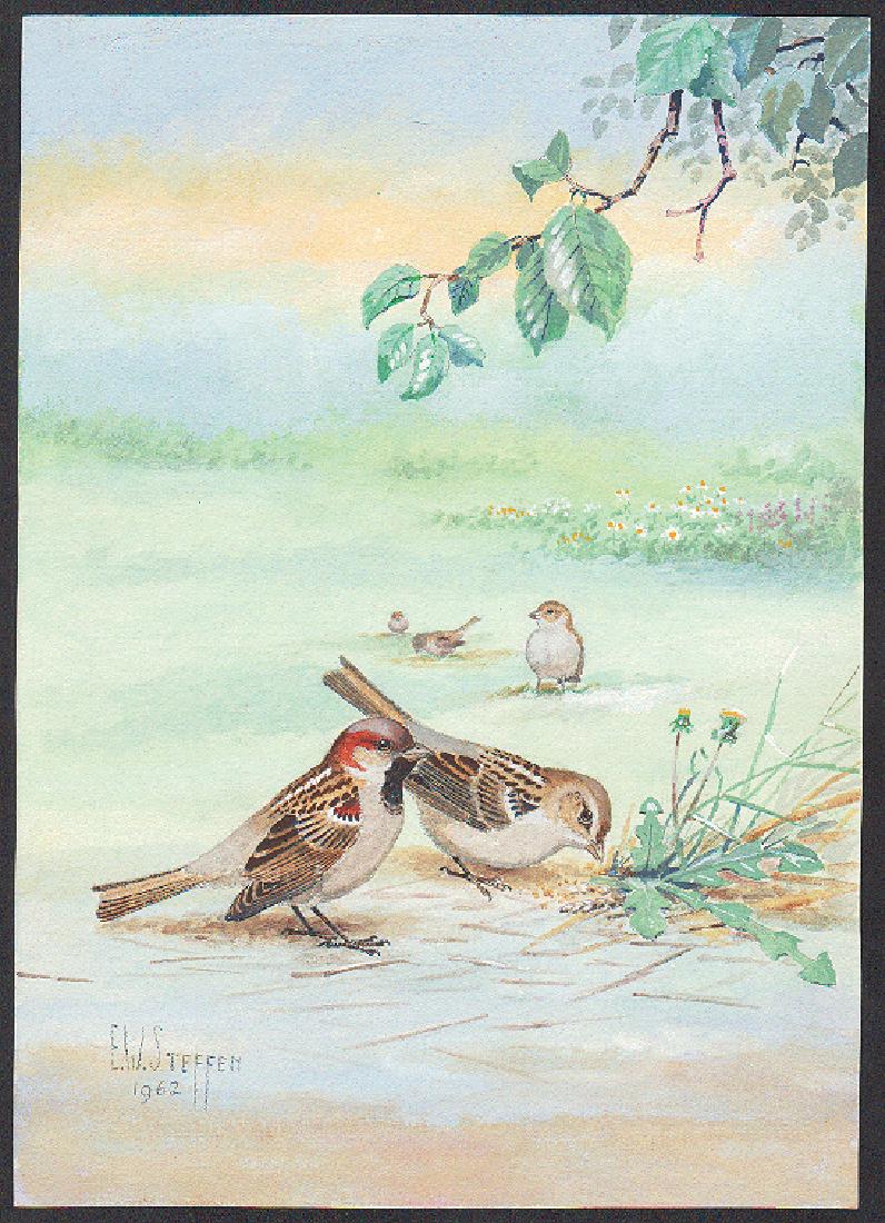 Steffen Watercolor of House Sparrow (1 of 1)