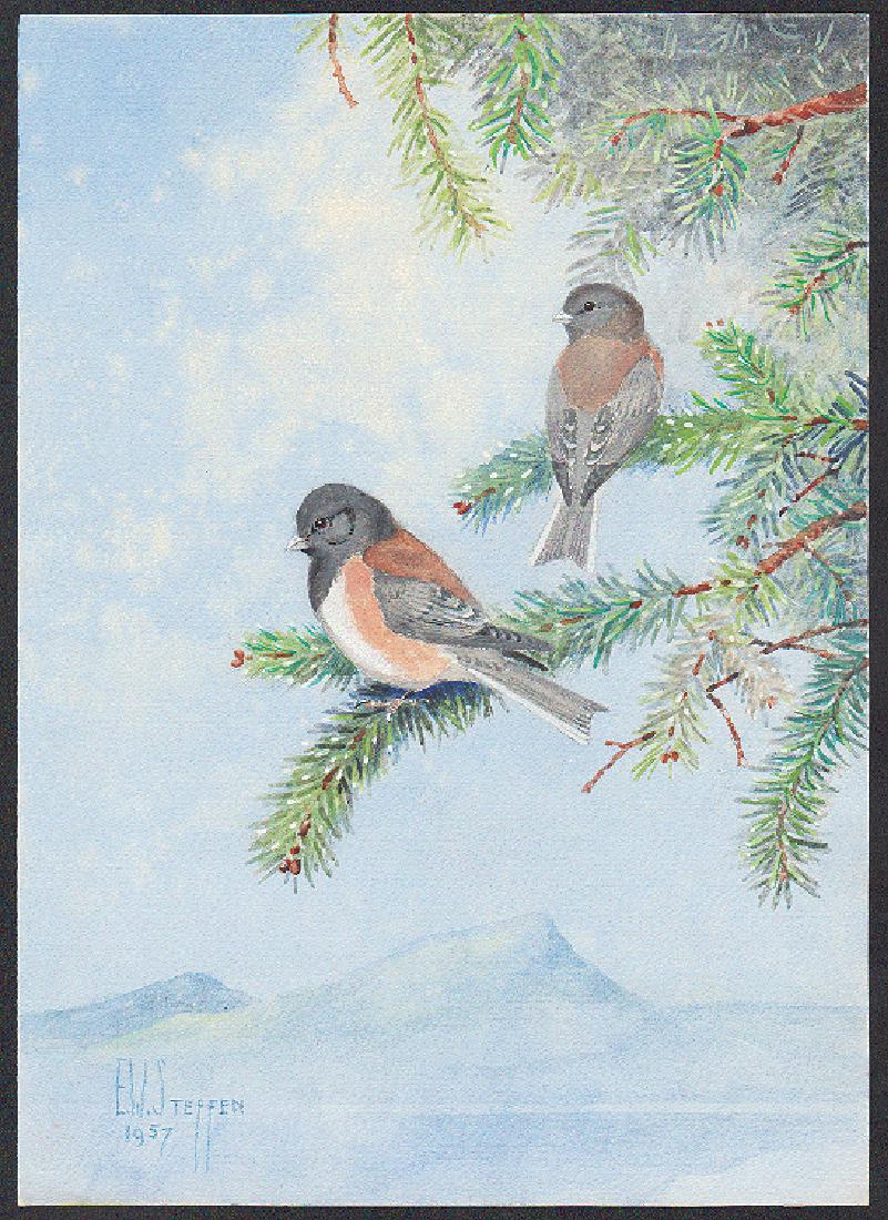 Steffen Watercolor of Montana Junco (1 of 1)