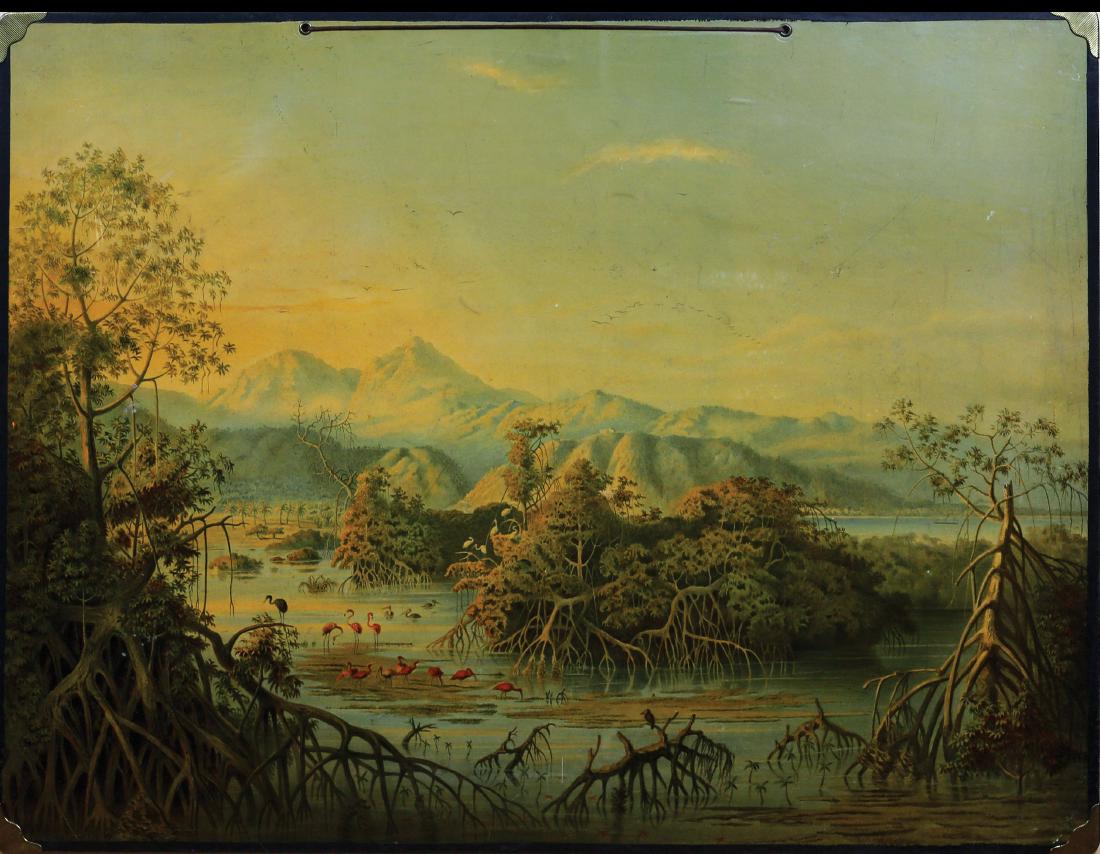 Holzel Largescale Chromo of South America (1 of 2)