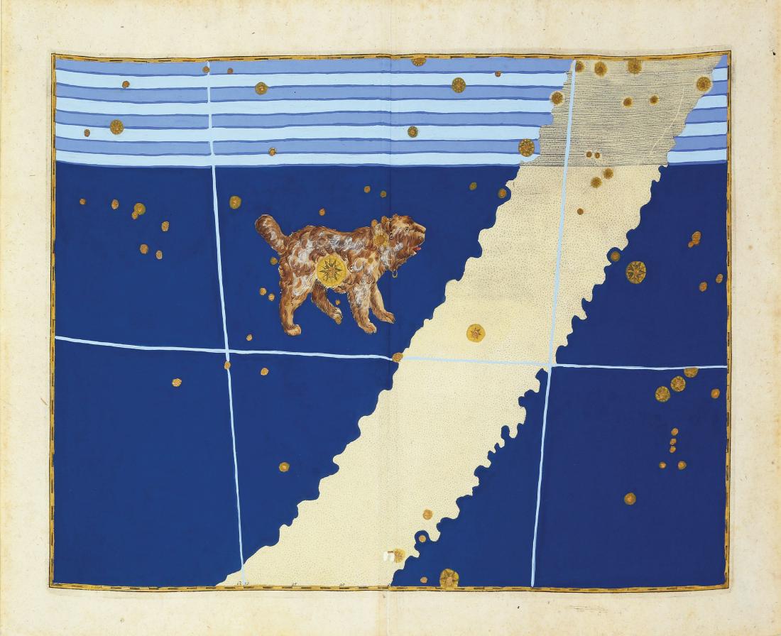 Bayer's Celestial Engravings (1 of 1)