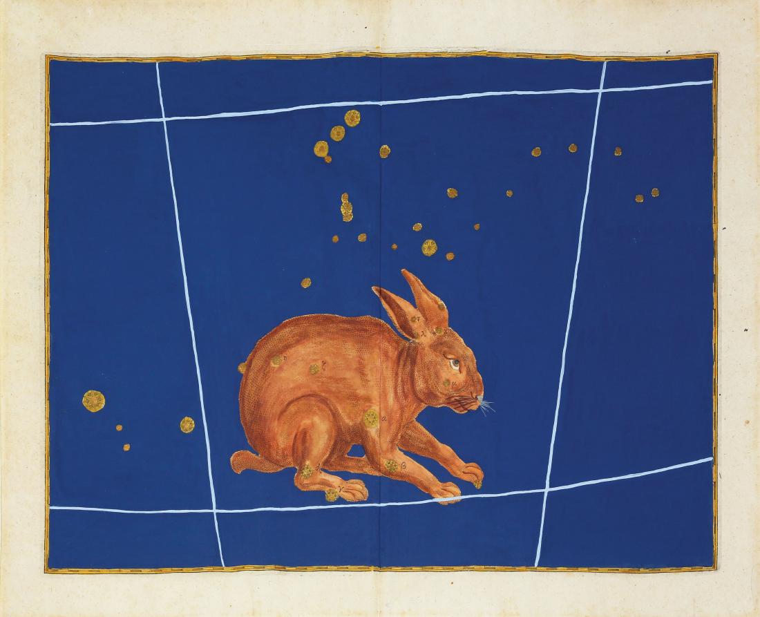 Bayer's Celestial Engravings (1 of 1)